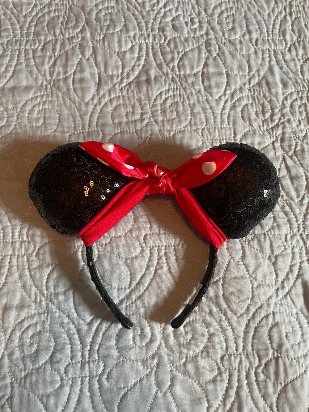 Minnie Mouse ears